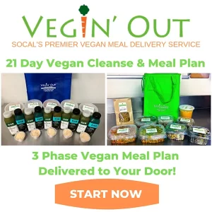 Vegin-Out-Vegan-Meal-Delivery